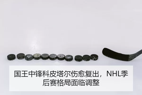 国王中锋科皮塔尔伤愈复出，NHL季后赛格局面临调整