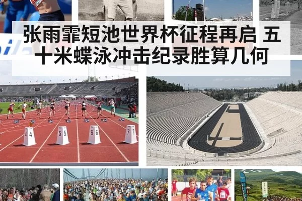 张雨霏短池世界杯征程再启 五十米蝶泳冲击纪录胜算几何